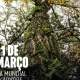 Para assinalar o Dia Mundial da Poesia e o Dia Mundial da Árvore, partilhamos “A…