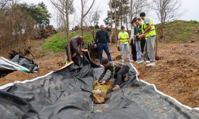 Paredes promove Semana da Sustentabilidade nas escolas com debates, plantações e visitas até 21 de março