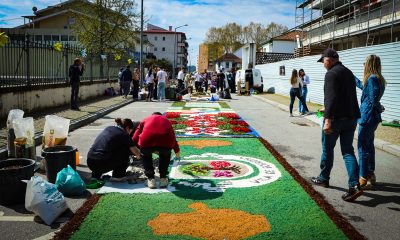Paredes viveu sábado de Primavera Festival da Flor com plantação de camélia, tapete de flores e Chá de Chapéu