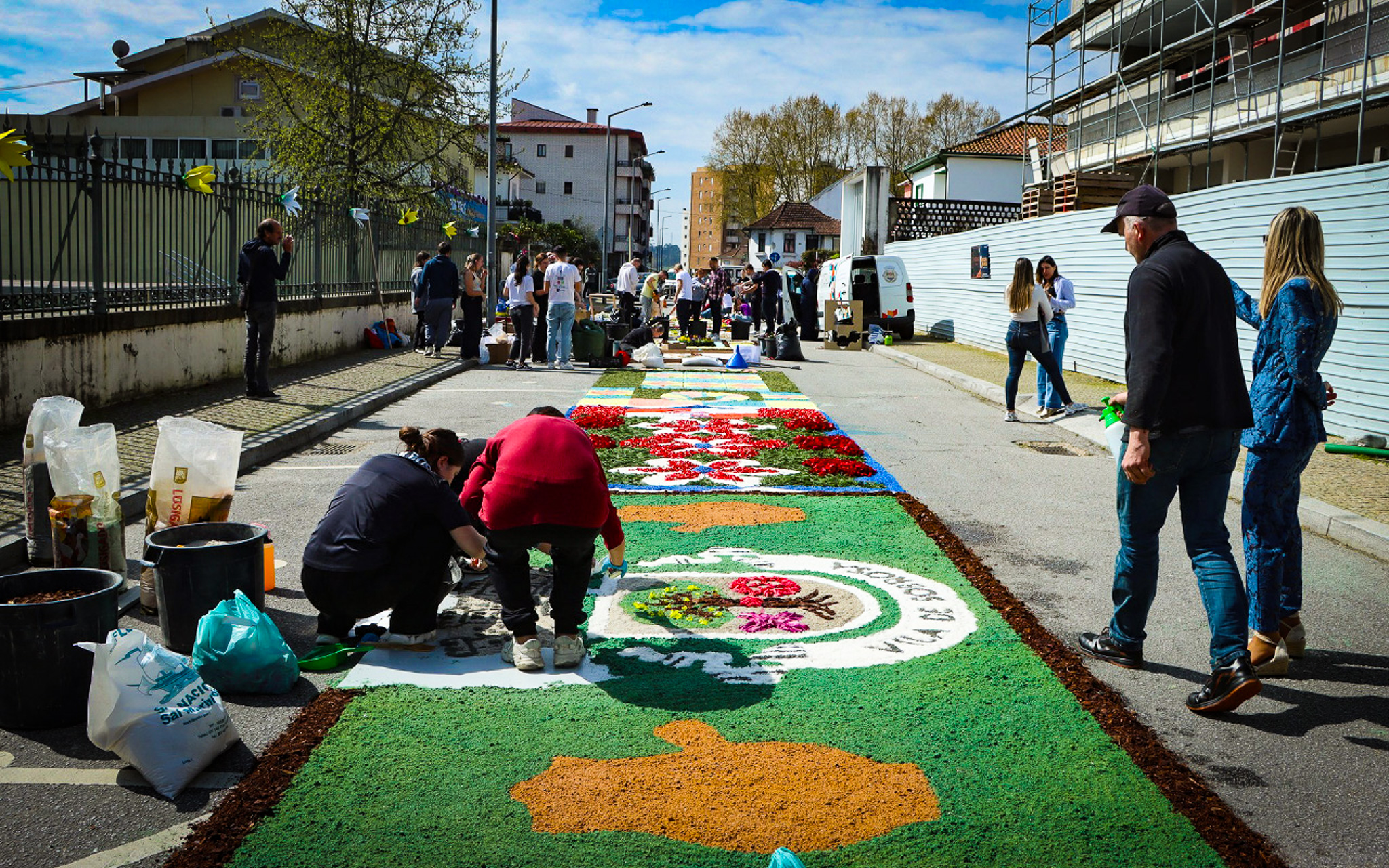 Paredes viveu sábado de Primavera Festival da Flor com plantação de camélia, tapete de flores e Chá de Chapéu
