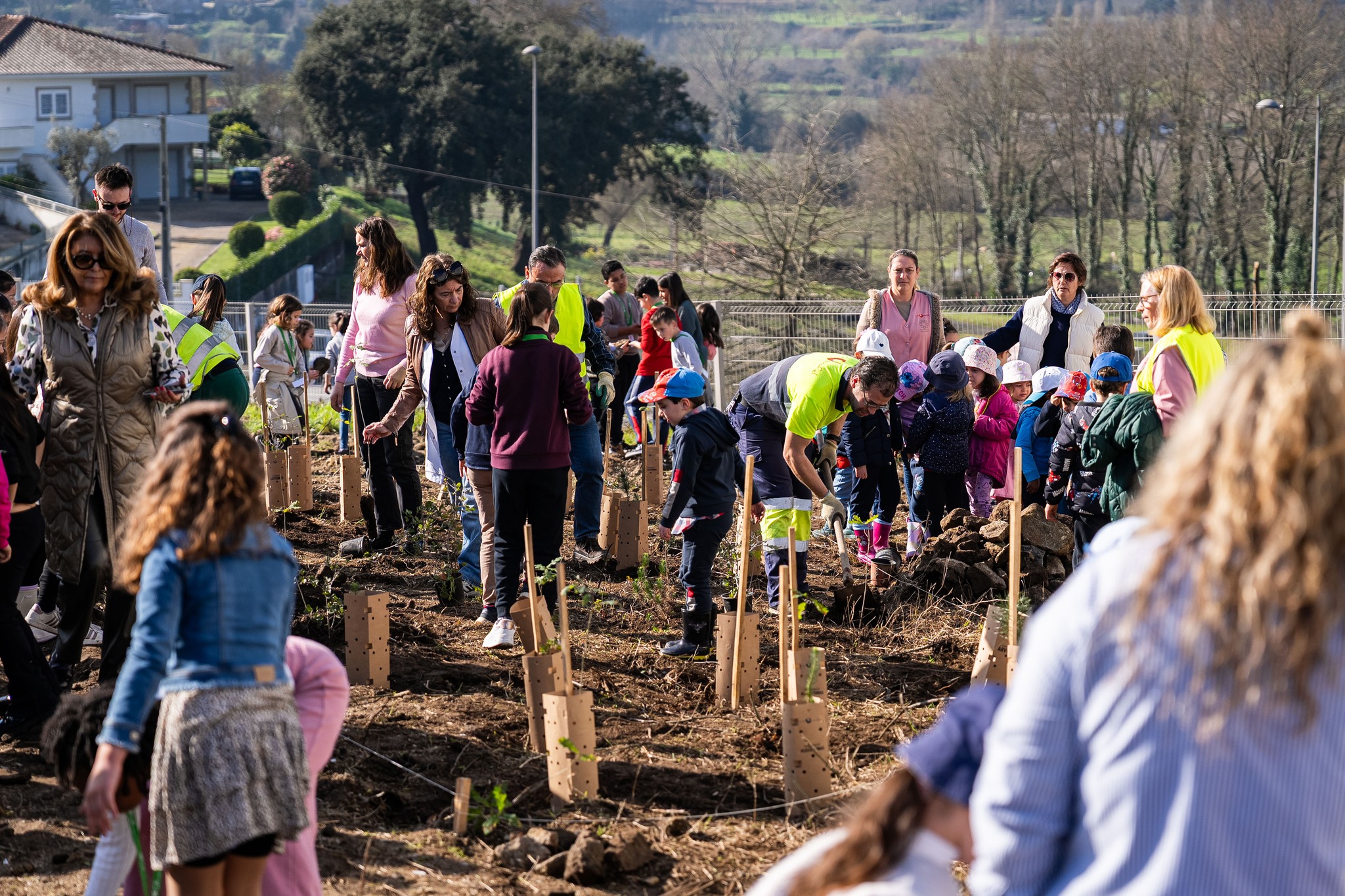 Penafiel envolve crianças na criação de floresta nativa com metodologia Miyawaki junto às Piscinas de S. Lourenço