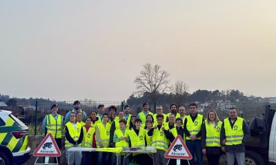 Programa SOS Sapos na Estrada salva cerca de 50 anfíbios em patrulhamento com GNR e alunos em Lousada