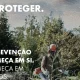 Prolongamento do Prazo de Limpeza de Terrenos

Os prazos para a gestão de combus…