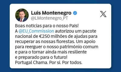 República Portuguesa está com Luís Montenegro.
