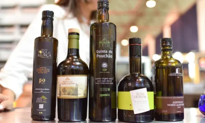 Concurso Nacional de Azeites de Portugal premeia a excelência do setor em 2026