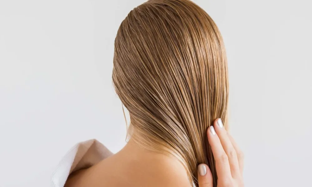 Dia Mundial do Cabelo: Qual a importância da nutrição e cuidados na saúde capilar?