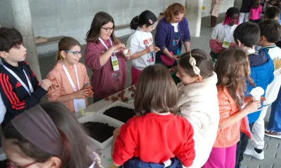 Comunidade escolar sensibilizada para a importância das árvores no equilíbrio ambiental