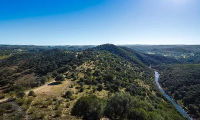 Governo oficializa Zona Especial de Conservação de Moura/Barrancos