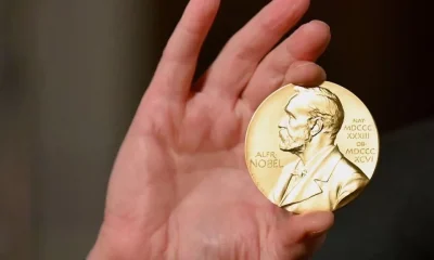 Cientista português Gonçalo Castelo-Branco eleito para o Comité Nobel da Medicina