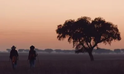 Alentejo a pé: Trilhos do Alqueva e Rota Vicentina ajudam ao “boom” turístico