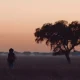 Alentejo a pé: Trilhos do Alqueva e Rota Vicentina ajudam ao “boom” turístico