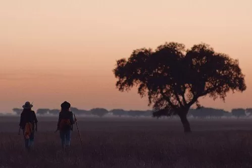 Alentejo a pé: Trilhos do Alqueva e Rota Vicentina ajudam ao “boom” turístico