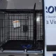 Vila Viçosa reforça proteção animal com nova viatura médico-veterinária