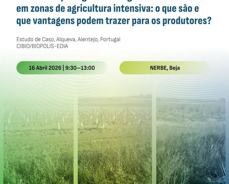 Beja debate reintrodução de elementos naturais em zonas de agricultura intensiva