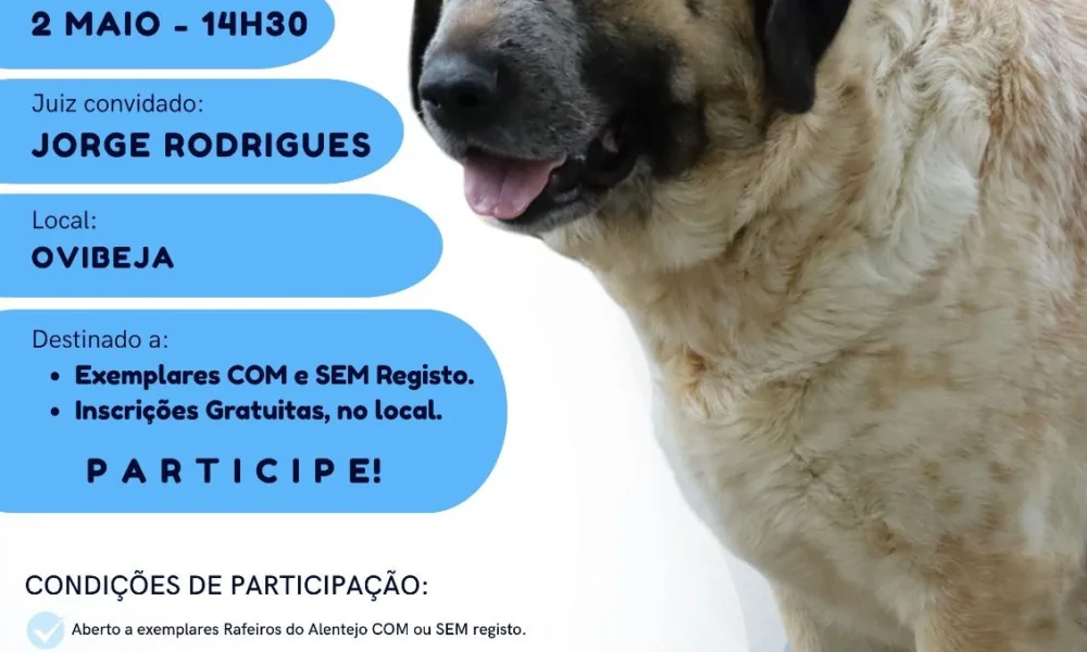 Rafeiro do Alentejo em destaque no XXXIV Concurso Regional da Ovibeja