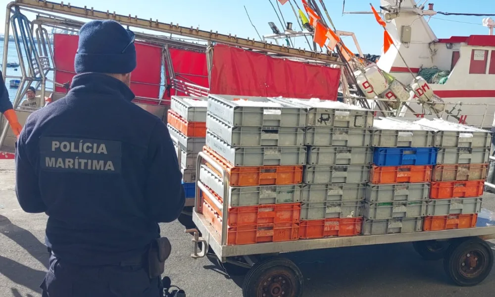 Polícia Marítima apreende quase uma tonelada de tamboril em Sines