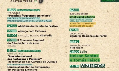 Castro Verde: Como vai ser o segundo dia do 7º Festival Sabores do Borrego
