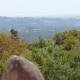 Évora assinala 62 anos da descoberta da Anta Grande do Zambujeiro e do Cromeleque dos Almendres