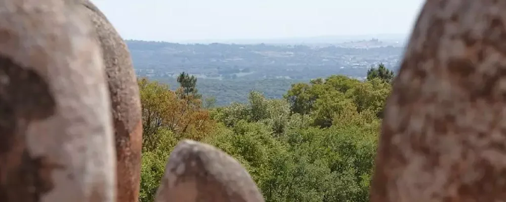 Évora assinala 62 anos da descoberta da Anta Grande do Zambujeiro e do Cromeleque dos Almendres