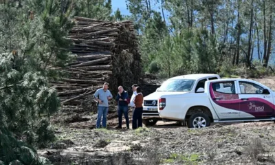 Nisa intervenciona acesso a posto de vigia na serra de São Miguel