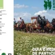 Já estão abertas as inscrições para a XXIV Romaria a Cavalo Moita-Viana do Alentejo