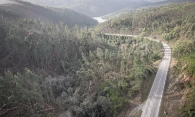CAP denuncia prejuízos de 500 ME e falta de apoios após tempestades