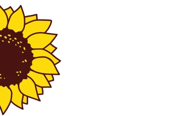 PEV defende proibição de operações militares externas à NATO na Base das Lajes