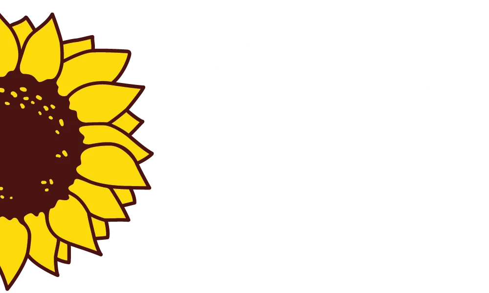 PEV defende proibição de operações militares externas à NATO na Base das Lajes