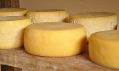 Mértola anuncia datas da XXVI Feira do Mel, Queijo e Pão