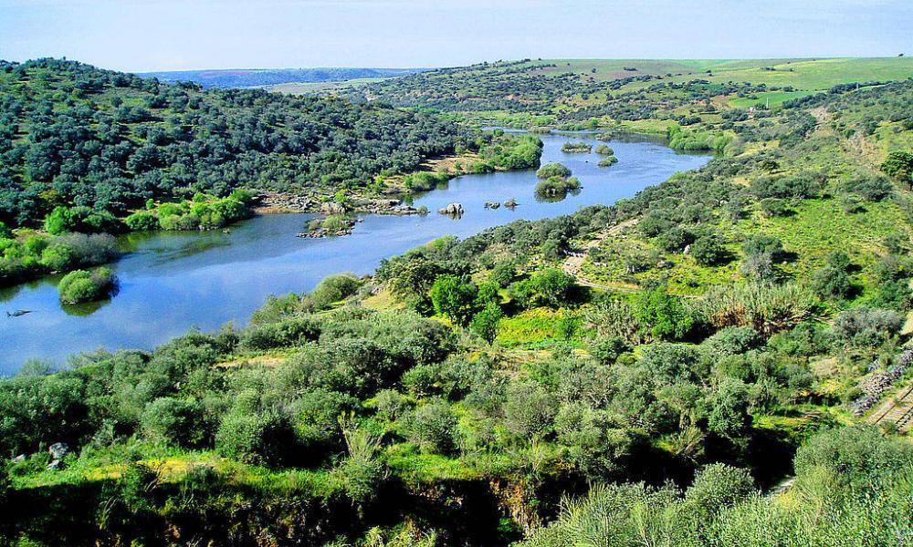 Mértola lança rota histórica para revitalizar património do Baixo Guadiana