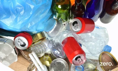 ZERO – Associação Sistema Terrestre Sustentável