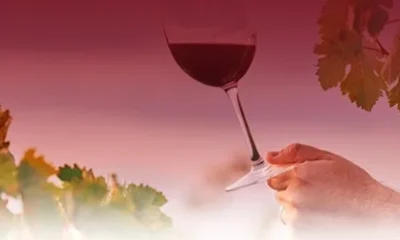 Inovação e Sustentabilidade na Vinha e no Vinho | VINIPAX | 2 de outubro