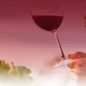 Inovação e Sustentabilidade na Vinha e no Vinho | VINIPAX | 2 de outubro