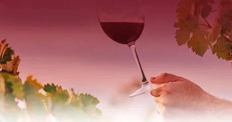 Inovação e Sustentabilidade na Vinha e no Vinho | VINIPAX | 2 de outubro