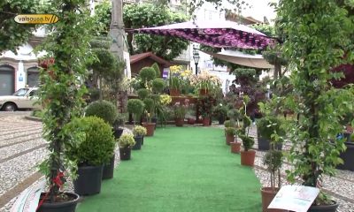 15.ª edição do Flores & Sabores volta a colorir Penafiel nos dias 1, 2 e 3 de maio