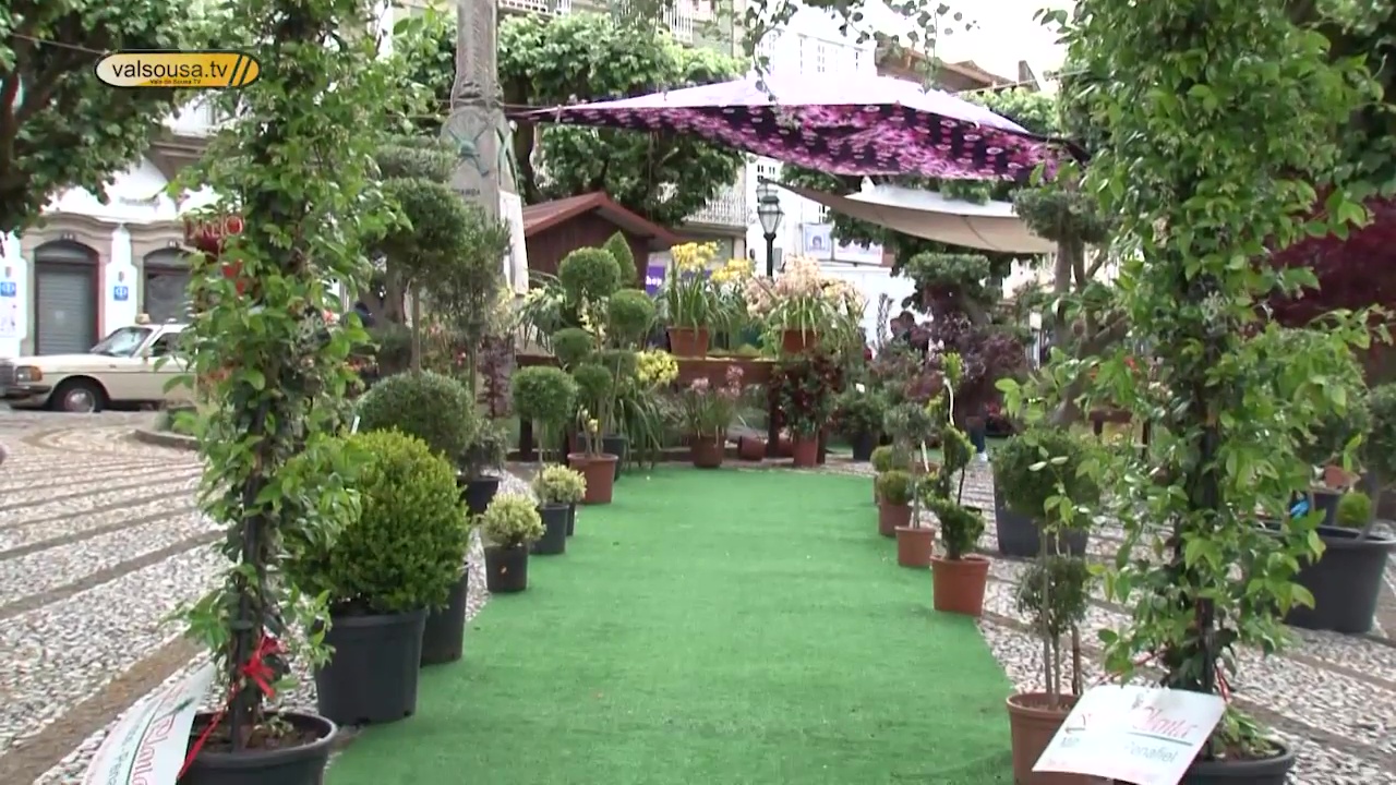 15.ª edição do Flores & Sabores volta a colorir Penafiel nos dias 1, 2 e 3 de maio