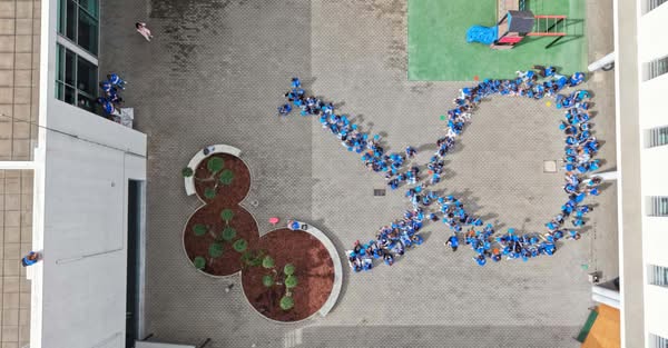 Instituições do concelho associaram-se à iniciativa promovida pela Comissão de P…