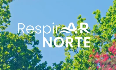 Neste Dia Nacional do Ar, a Vice-Presidente Gabriela Leite partilha a vis\u00e3o…