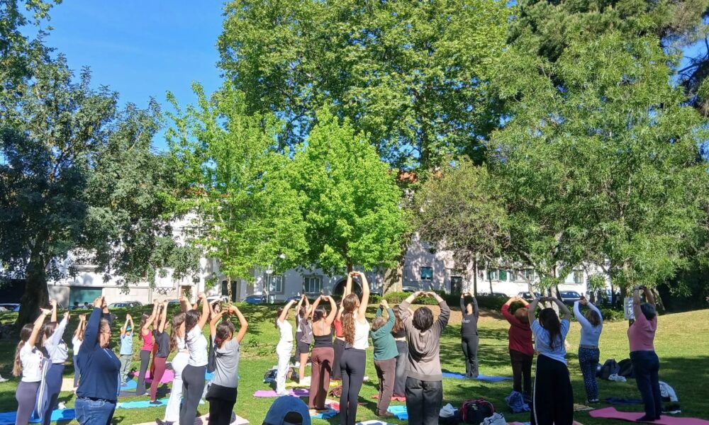 Município de Portalegre