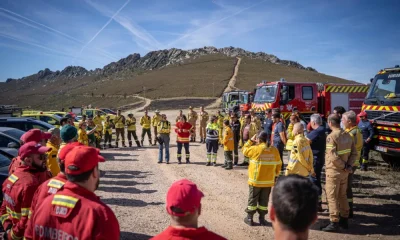 CM Pampilhosa da Serra / Ações de fogo controlado unem entidades e reforçam segurança florestal