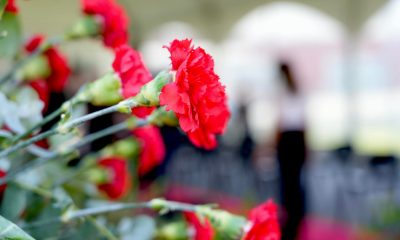 Paredes celebra 25 de Abril com sessão solene no CCP e atuação de Pedro Branco