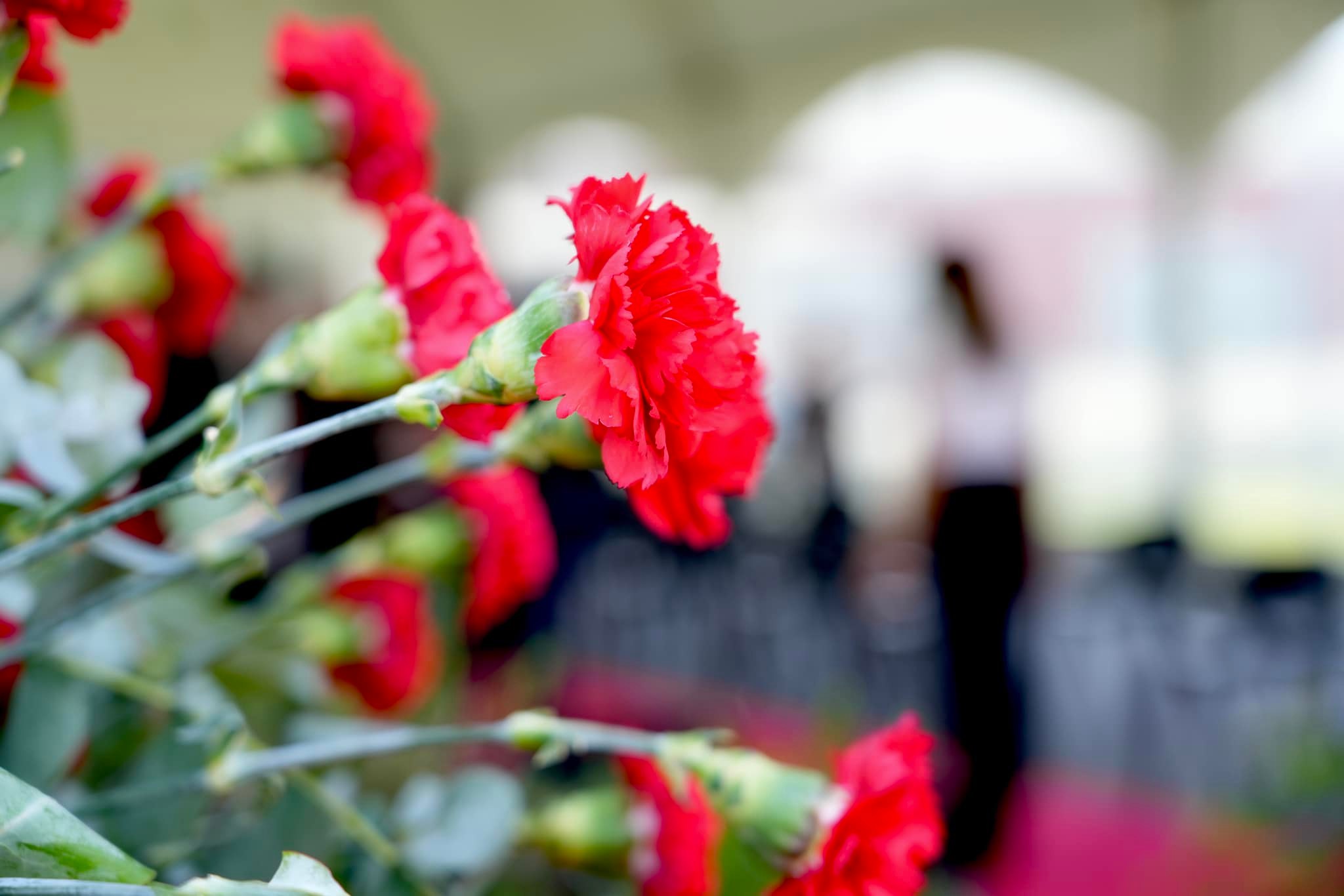 Paredes celebra 25 de Abril com sessão solene no CCP e atuação de Pedro Branco