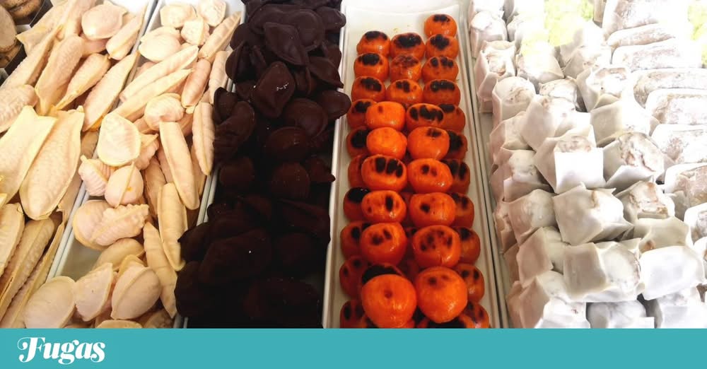 Em Portalegre, a doçaria conventual volta ao mosteiro no fim-de-semana