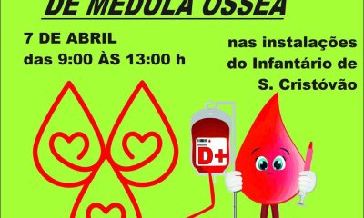 DIVULGAÇÃO DE ATIVIDADES A DECORRER NO CONCELHO