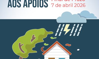 𝗢 𝗽𝗿𝗮𝘇𝗼 𝗽𝗮𝗿𝗮 𝗮 𝗮𝗽𝗿𝗲𝘀𝗲𝗻𝘁𝗮çã𝗼 𝗱𝗲 𝗰𝗮𝗻𝗱𝗶𝗱𝗮𝘁𝘂𝗿𝗮𝘀 𝗮𝗼𝘀 𝗮𝗽𝗼𝗶𝗼𝘀 𝗲𝗺 𝗺𝗮𝘁é𝗿𝗶𝗮 𝗱𝗲 𝗵𝗮𝗯𝗶𝘁𝗮çã𝗼 …