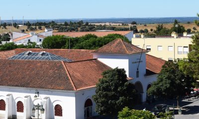 Informa-se a população que, no âmbito das comemorações da Páscoa, na próxima sex…