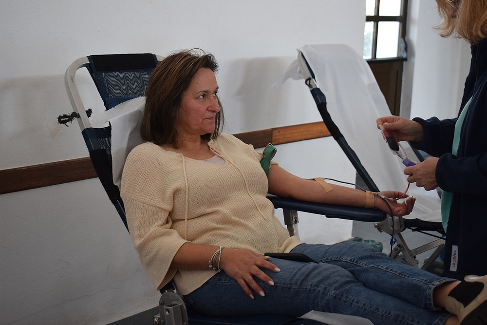 Vale de Cavalos recebe colheita de sangue
