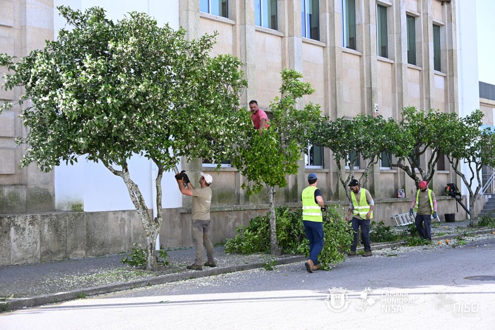 𝐋𝐢𝐦𝐩𝐞𝐳𝐚 𝐝𝐞 𝐚́𝐫𝐯𝐨𝐫𝐞𝐬 𝐞𝐦 𝐭𝐨𝐝𝐨 𝐨 𝐜𝐨𝐧𝐜𝐞𝐥𝐡𝐨 𝐝𝐞 𝐍𝐢𝐬𝐚

A Câmara Municipal de Nisa está …