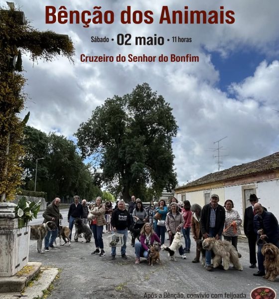 DIVULGAÇÃO DE ATIVIDADES A DECORRER NO CONCELHO
Com o apoio do Município de Por…