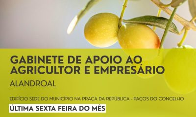 24 de abril | Apoio ao Agricultor e Empresário Gratuito em Alandroal

No dia 24…